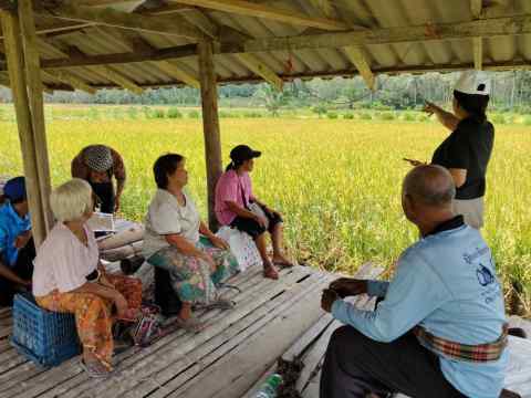 ประวัติความเป็นมา