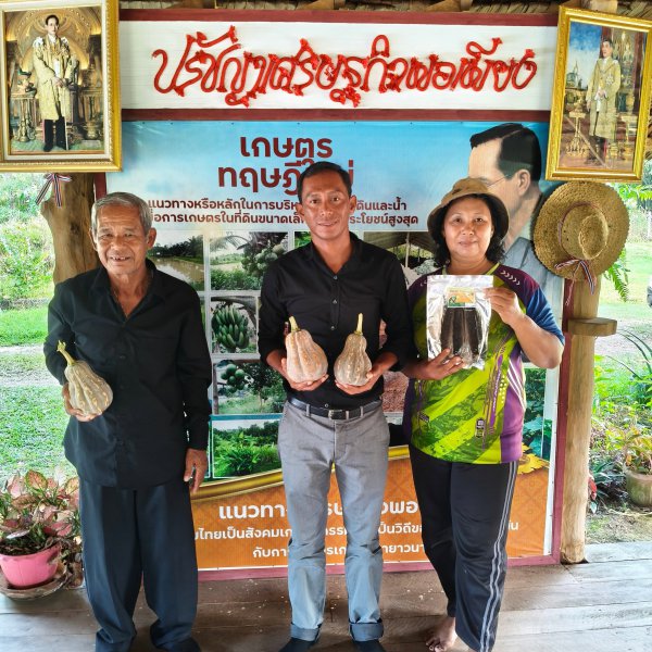 รูปภาพที่ 2
