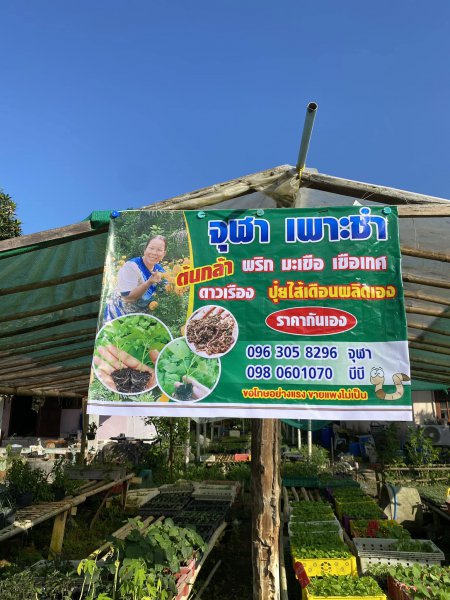 รูปภาพที่ 2