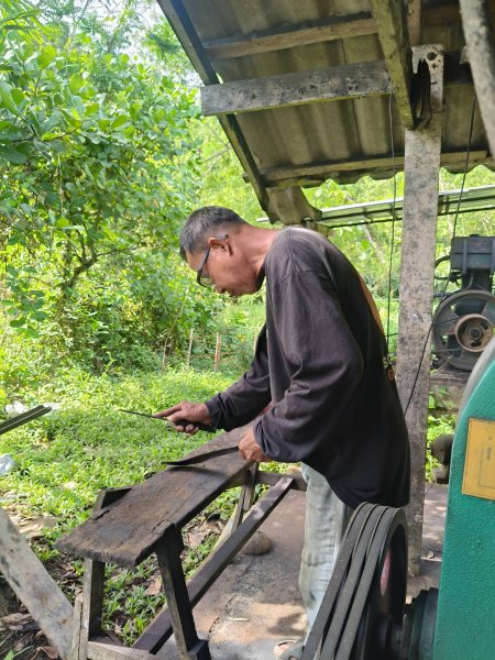 รูปภาพที่ 4