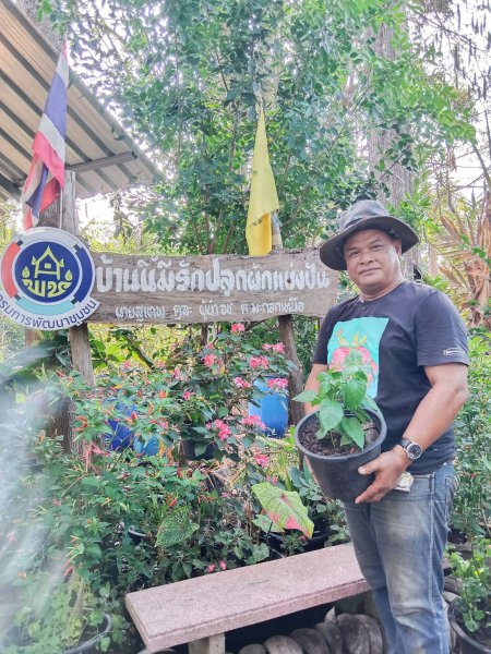 รูปภาพที่ 4