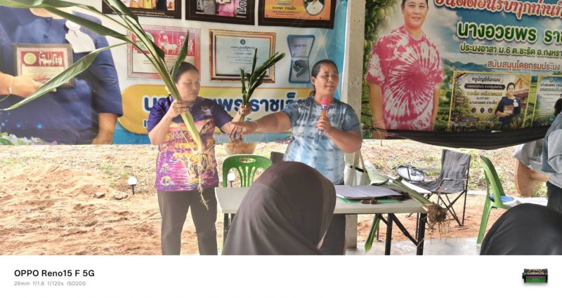 รูปภาพที่ 2