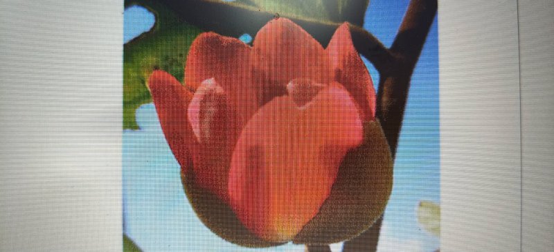 รูปภาพที่ 6