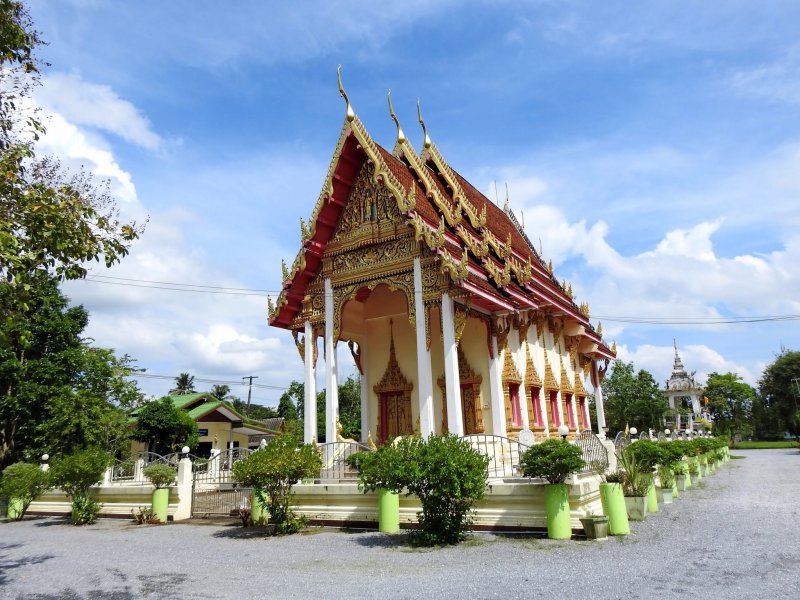 รูปภาพที่ 5
