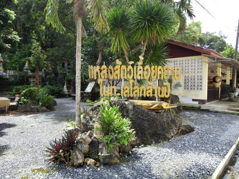 รูปภาพที่ 6