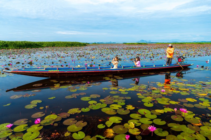 รูปภาพที่ 3