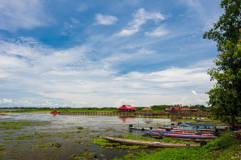 รูปภาพที่ 6