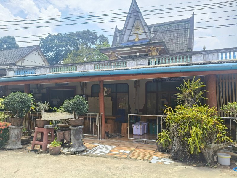 รูปภาพที่ 4