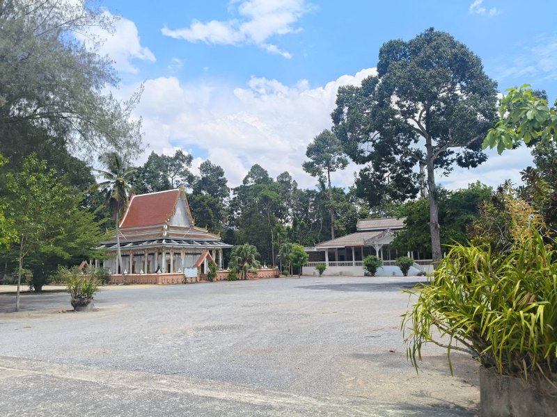 รูปภาพที่ 5