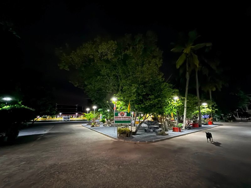 รูปภาพที่ 5