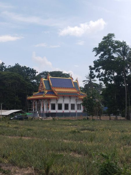 รูปภาพที่ 5