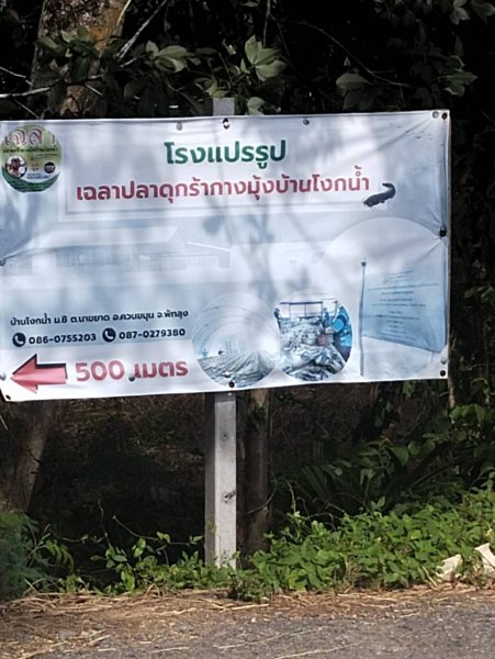 รูปภาพที่ 2