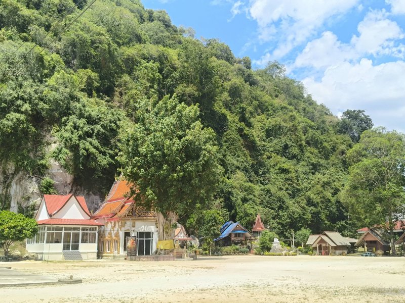 รูปภาพที่ 5