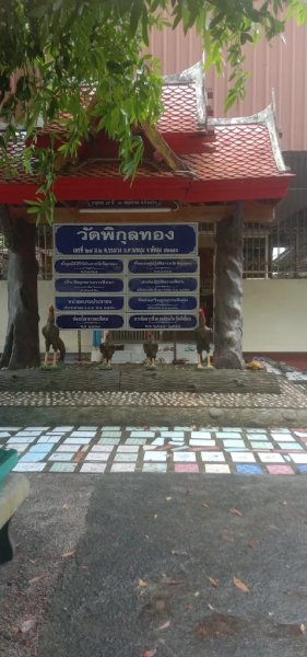 รูปภาพที่ 4