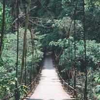 รูปภาพที่ 3