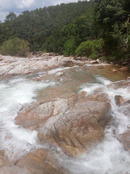 รูปภาพที่ 4