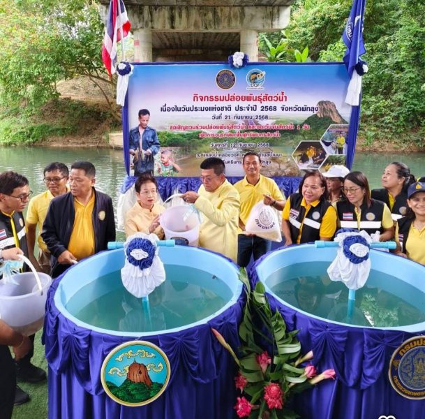 รูปภาพที่ 5