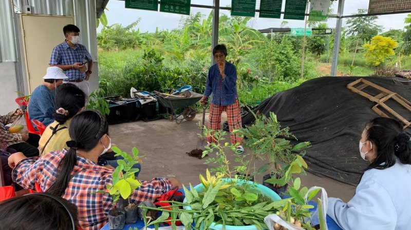 รูปภาพที่ 2