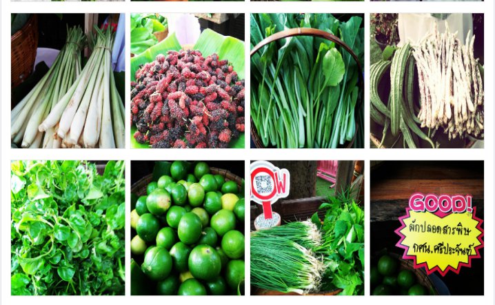 รูปภาพที่ 3