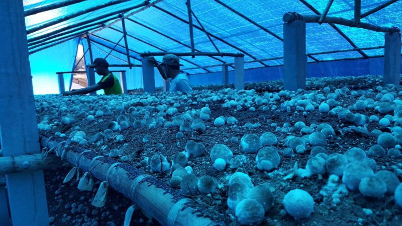 รูปภาพที่ 4