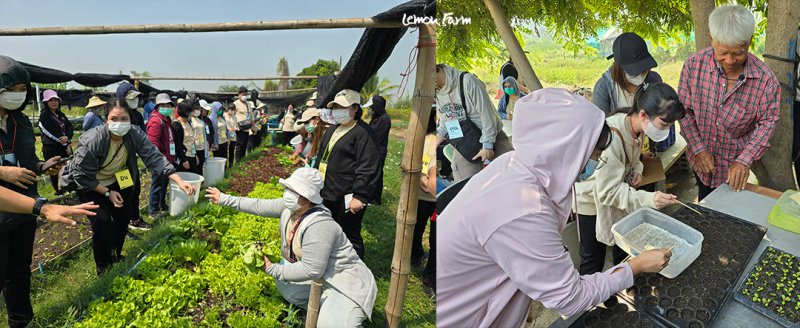 รูปภาพที่ 4