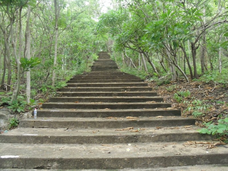 รูปภาพที่ 4