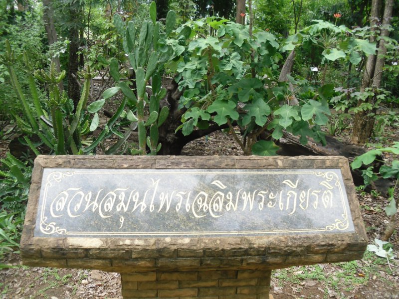 รูปภาพที่ 2