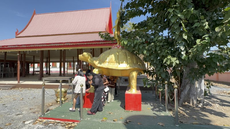 รูปภาพที่ 6
