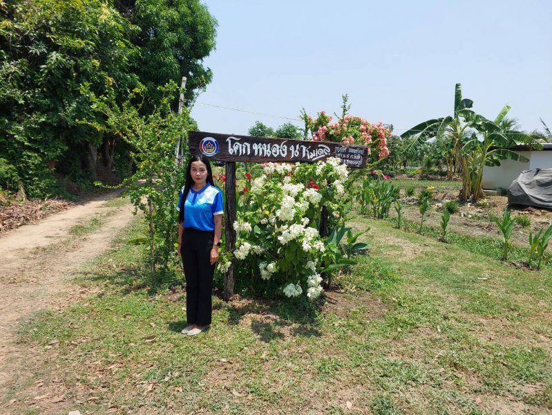รูปภาพที่ 6
