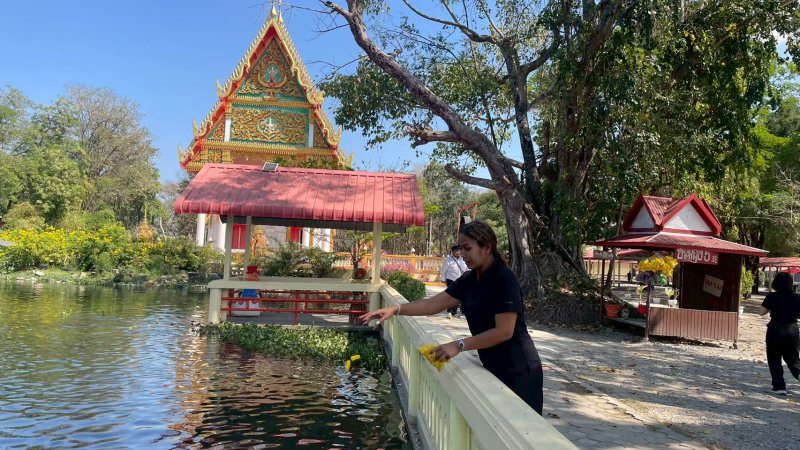 รูปภาพที่ 5
