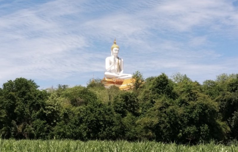 รูปภาพที่ 4