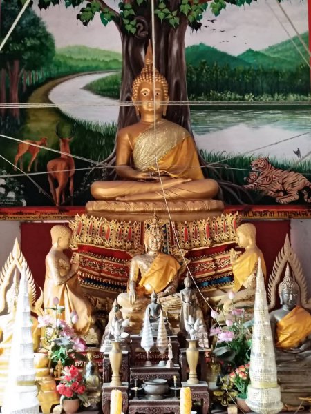 รูปภาพที่ 4