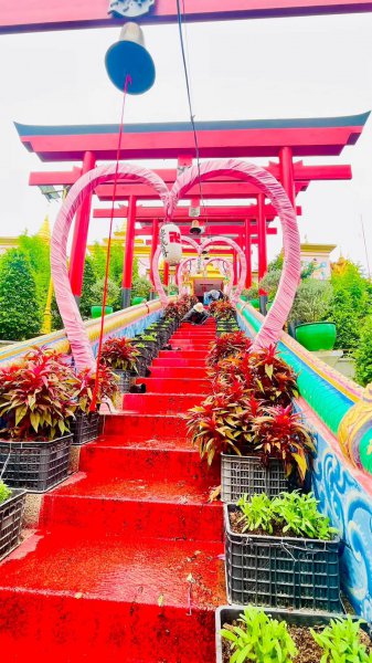 รูปภาพที่ 4