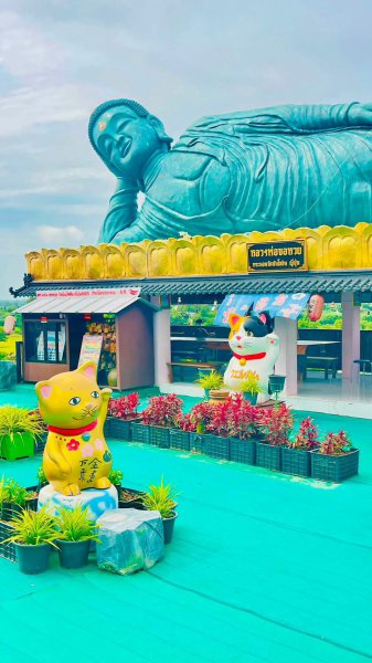 รูปภาพที่ 5