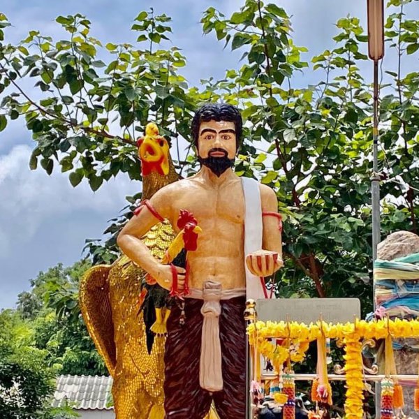 รูปภาพที่ 4