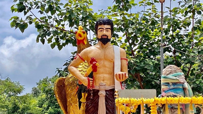 รูปภาพที่ 5