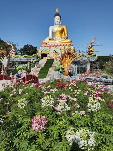 รูปภาพที่ 2