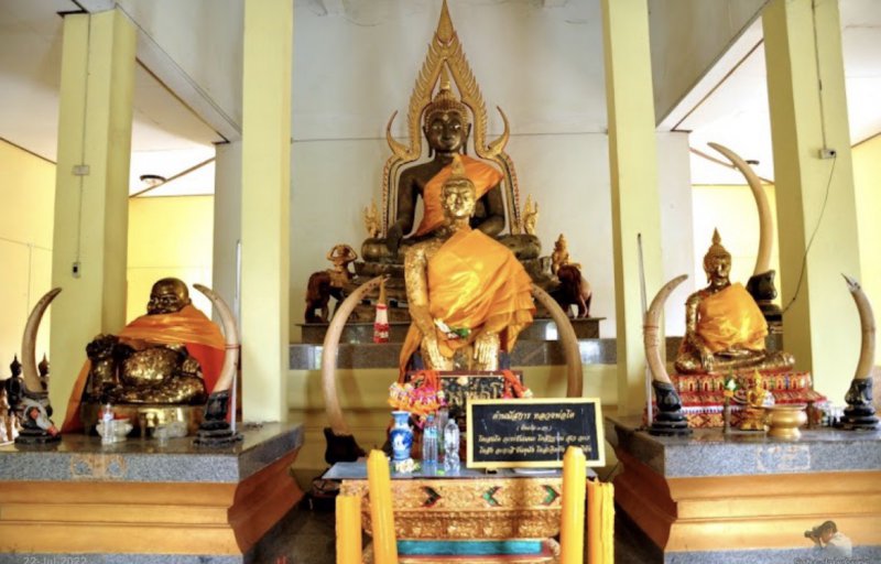 รูปภาพที่ 5