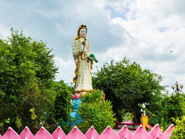 รูปภาพที่ 5