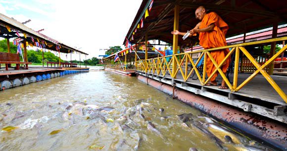 รูปภาพที่ 6