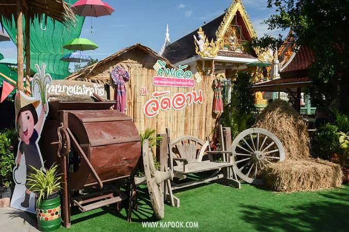 รูปภาพที่ 4