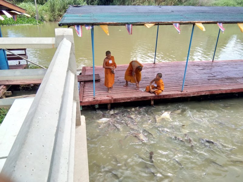รูปภาพที่ 4