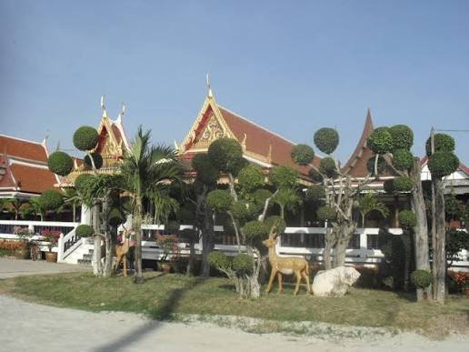 รูปภาพที่ 3