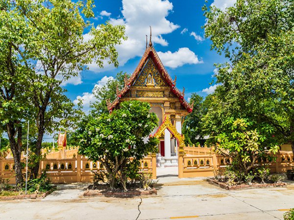 รูปภาพที่ 2