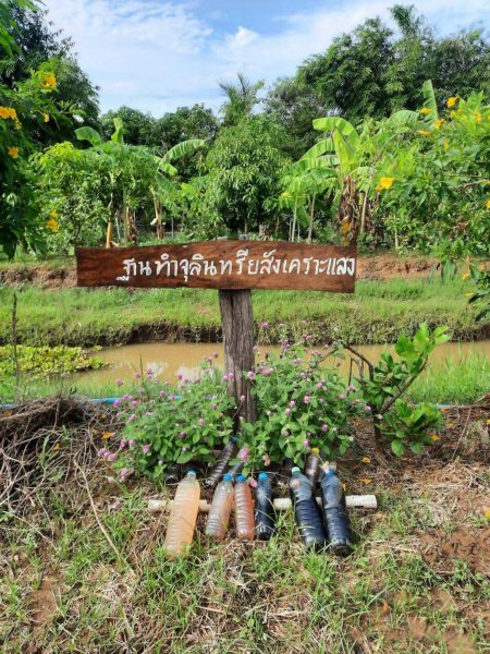 รูปภาพที่ 2