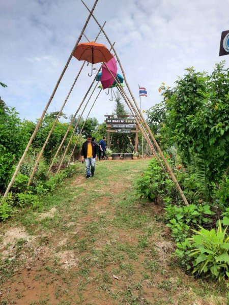 รูปภาพที่ 3