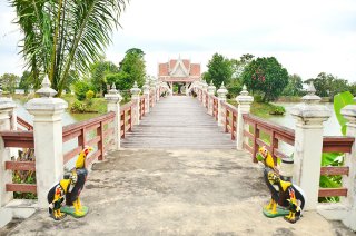 รูปภาพที่ 2