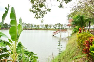 รูปภาพที่ 5