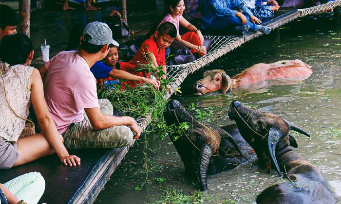 รูปภาพที่ 2