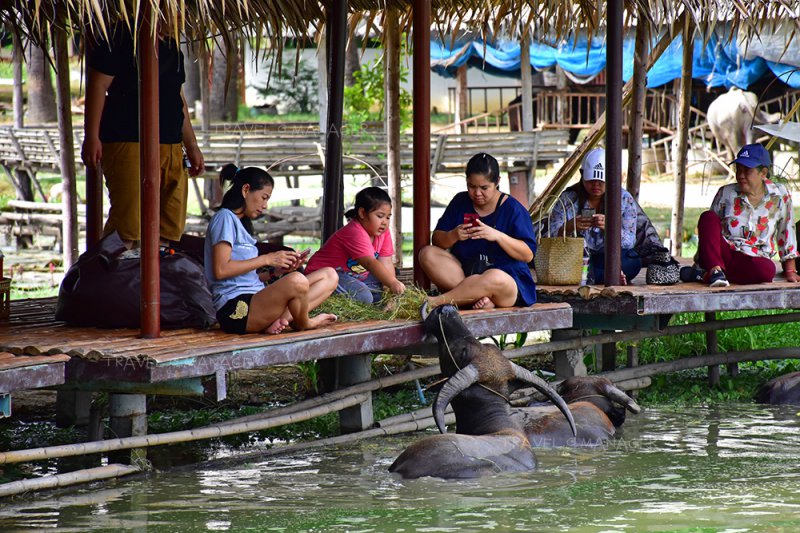 รูปภาพที่ 3